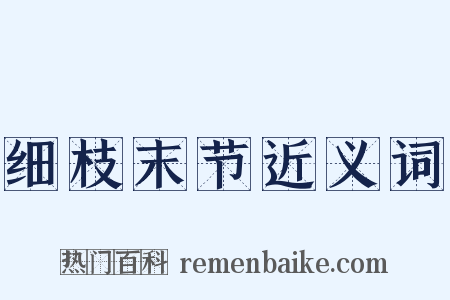 细枝末节近义词是什么意思的图片